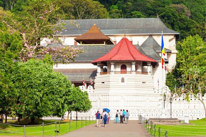8-Day Private Tour with Train Ride, Safari & Beaches