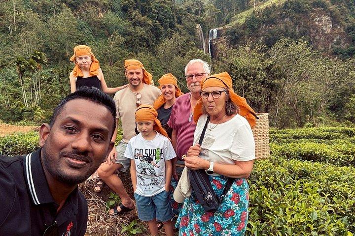 8-Day Private Tour with Train Ride, Safari & Beaches