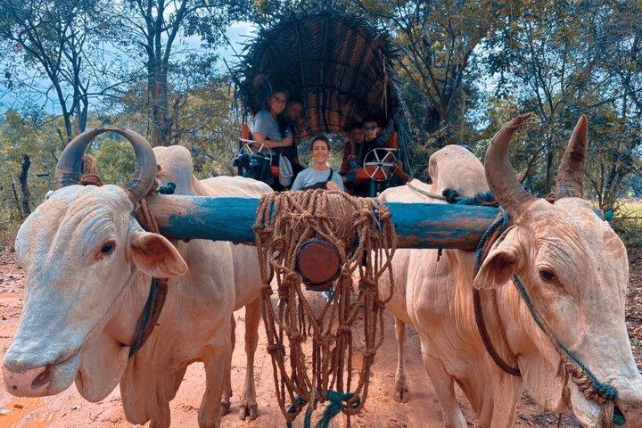 8-Day Private Tour with Train Ride, Safari & Beaches