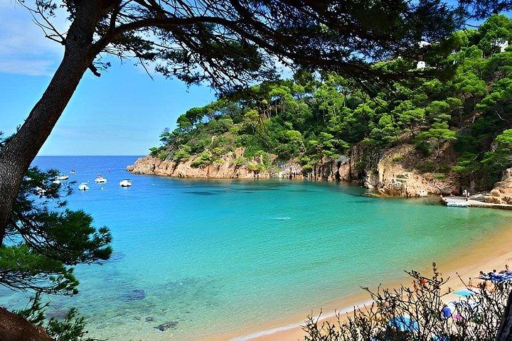 Girona & Tossa de Mar _ Excursion privée d'une journée