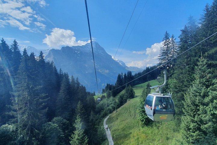 Bilhete de atração : Grindelwald Primeiro de Interlaken