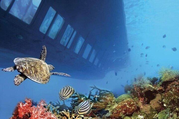 紅海でのプライベート シャルム エル シェイク潜水艦アドベンチャー