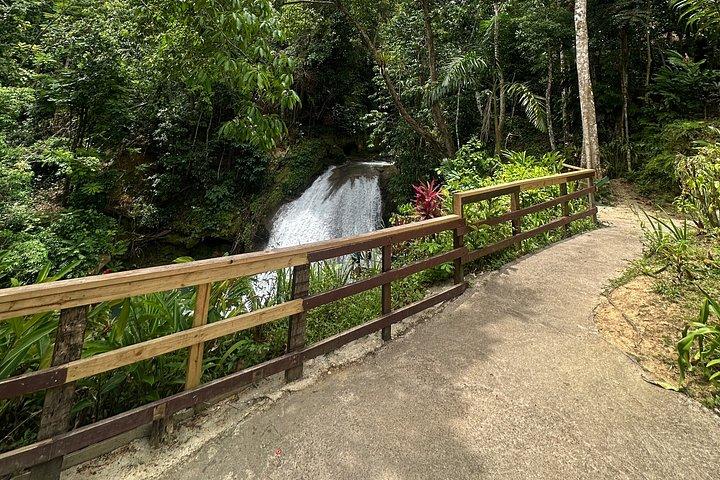 Ocho Rios : アイランドガリーフォールズ&ダンズリバーツアー