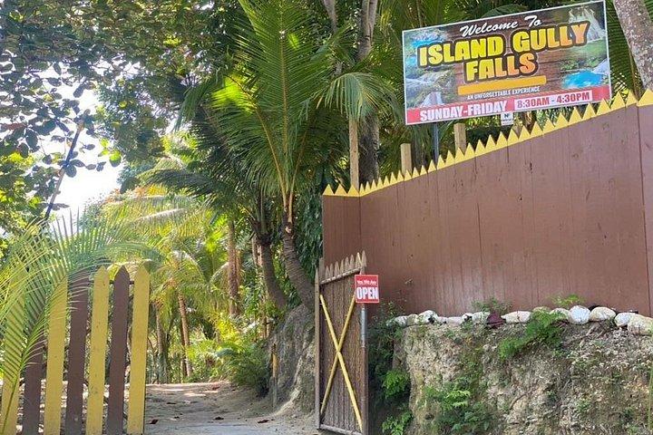 Ocho Rios : アイランドガリーフォールズ＆ダンズリバーツアー