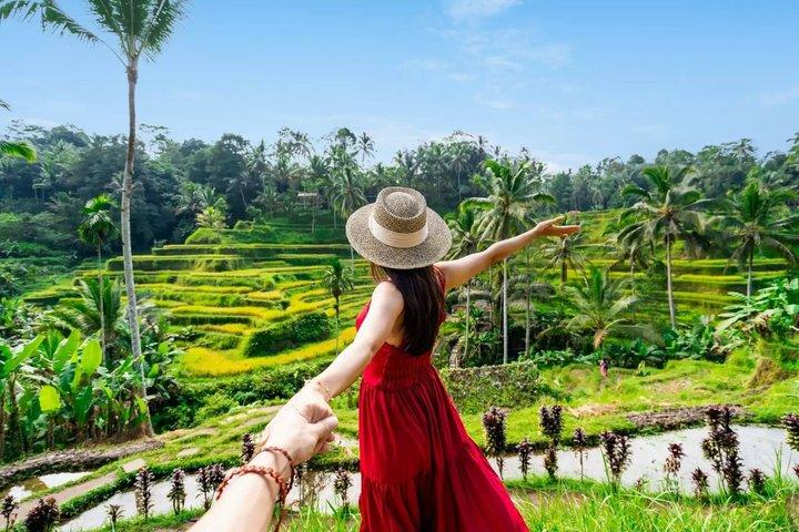 Ubud Private Tour : Tirta Empul, Rice Terraces & Waterfalls