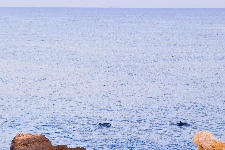 Albufeira : Sunset SUP Caves Tour met gratis professionele foto's