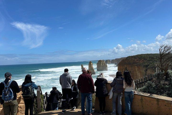Great Ocean Road Boutique Eco Tour petit groupe melbrne hôtel choix