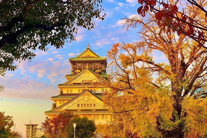 大阪城の寺院と浮世絵を巡る 1 日ウォーキング ツアー