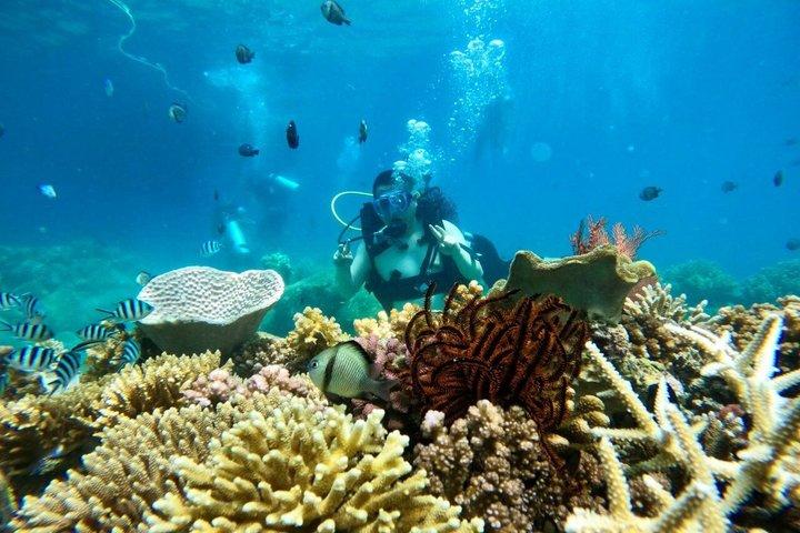 De Nha Trang Scuba Diving e Coral Bay Escape