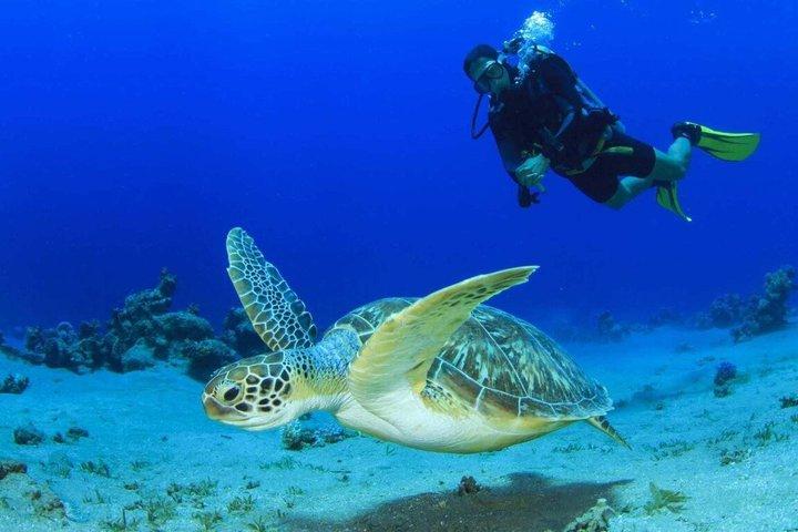 De Nha Trang Scuba Diving e Coral Bay Escape