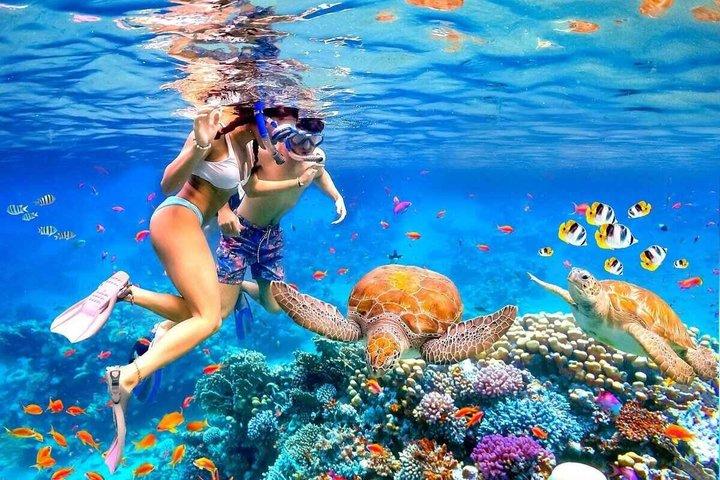 De Nha Trang Scuba Diving e Coral Bay Escape