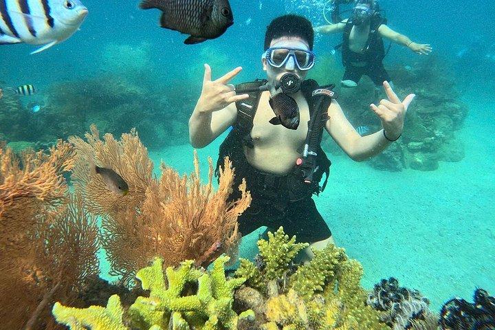 Nha Trang Scuba Diving Experience with Speedboat & Lunch
