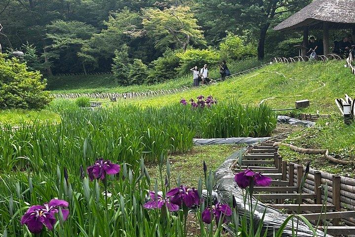 プロの庭師とE-bikeで巡る東京の紅葉狩りツアー