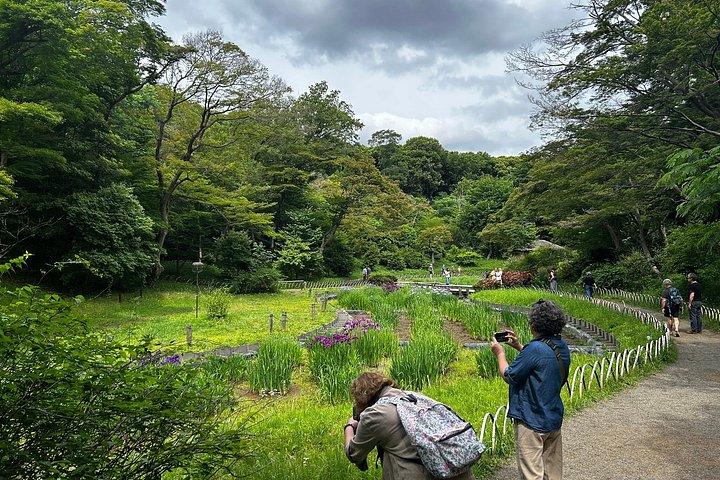 プロの庭師とE-bikeで巡る東京の紅葉狩りツアー