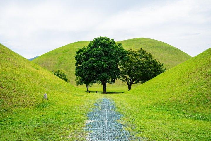 釜山から慶州ユネスコ本格ツアー
