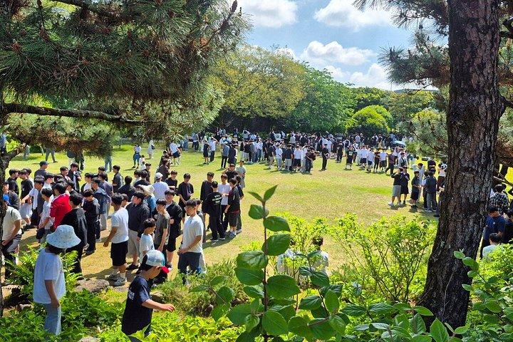 済州西南日帰りツアー：海女体験、漢拏山＆ユネスコ