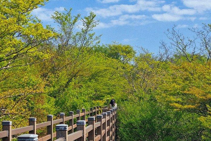 Jeju WestSüd Eintägige authentische Tour mit MT.Halla & UNESCO