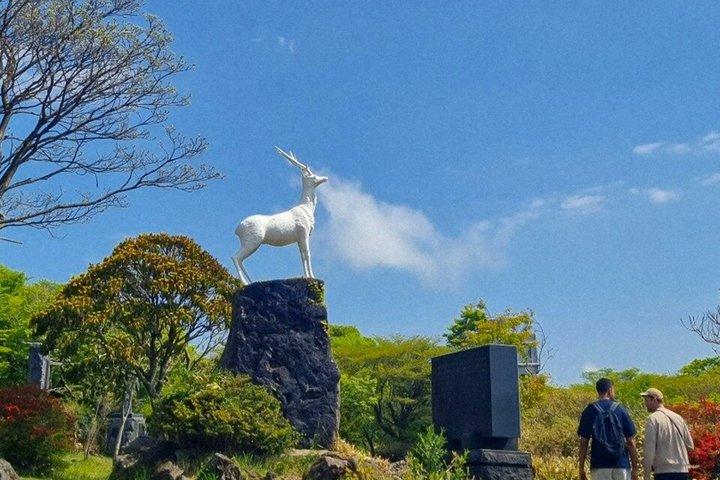 Jeju WestSüd Eintägige authentische Tour mit MT.Halla & UNESCO