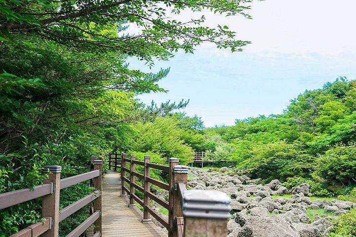 100%安全返却-済州ユネスコショアエクスカーションクルーズ