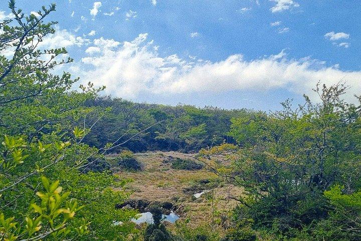 100%安全返却-済州ユネスコショアエクスカーションクルーズ