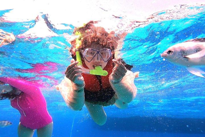 3 - i - 1 Orange Bay, Dolphin House, Dykningskryssning i Hurghada