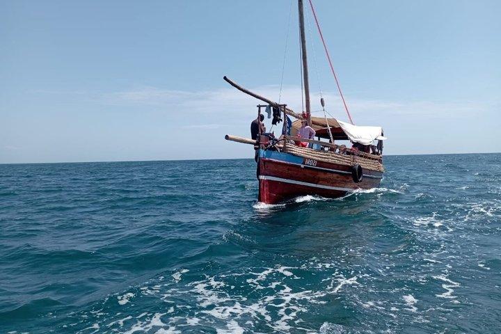 Wasini Dolphin Spotting Tour
