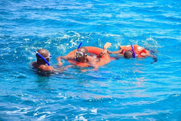 Tour de observación de delfines Wasini