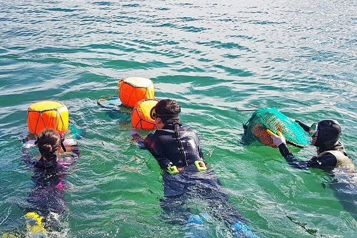 済州東部はウネスコ・スポット訪問必須！
