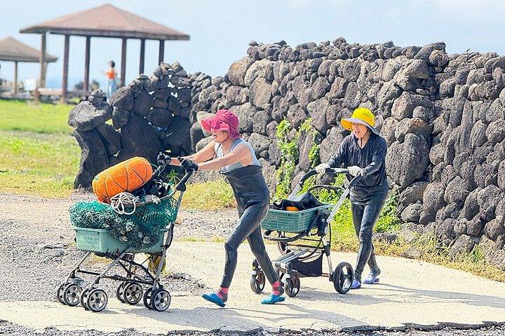 済州東部ユネスコツアー：みかん狩り、聖山＆海女