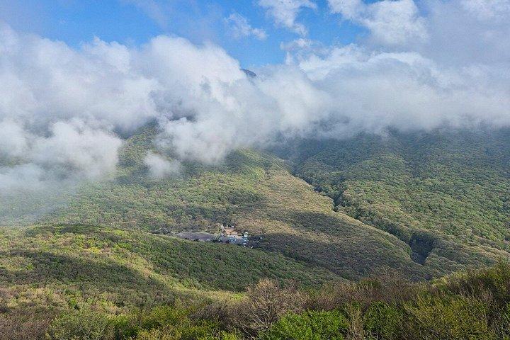 済州島南ユネスコハイライト漢拏山日帰りツアー