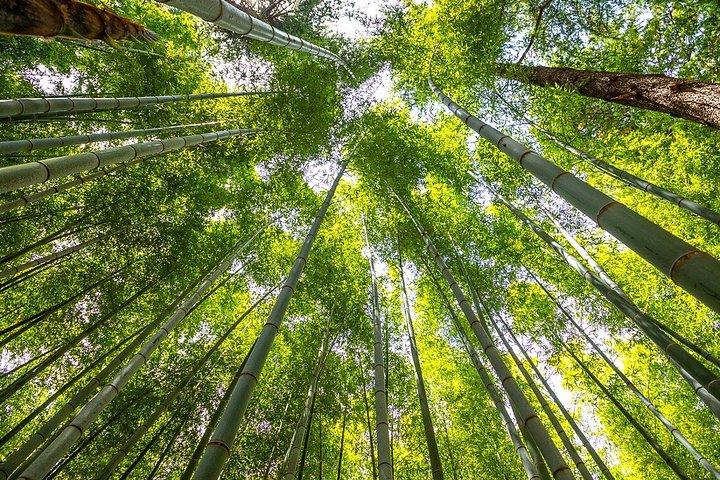 釜山から慶州ユネスコ本格ツアー