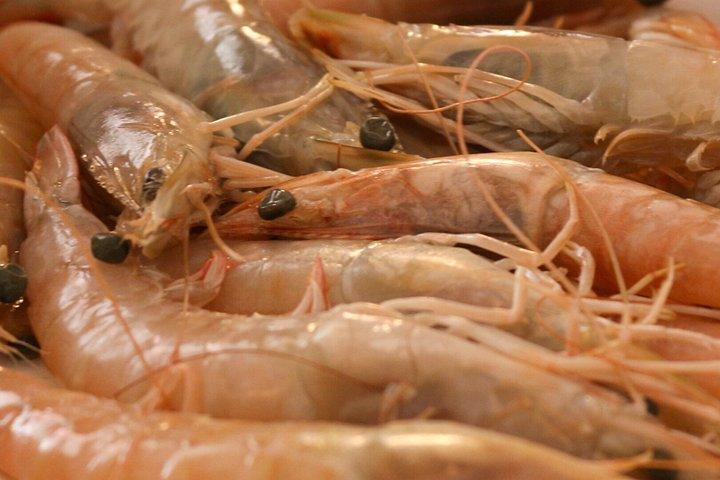美食体験：タパス、パエリア、ワインペアリング