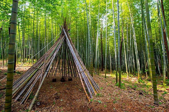 釜山～慶州ユネスコ遺産ツアー