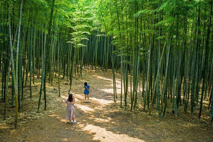 釜山～慶州ユネスコ遺産ツアー