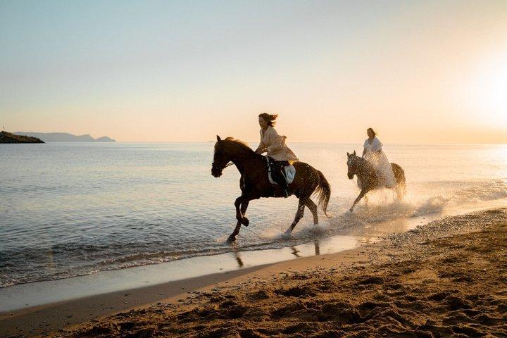 Marsa Alam: Meer und Wüste Reittour