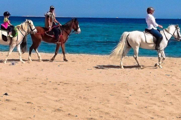 Marsa Alam: Meer und Wüste Reittour