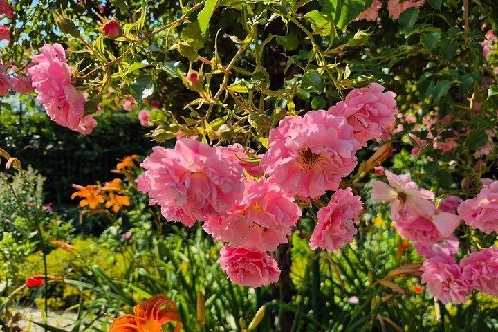 Excursion d'une journée à Giverny et Versailles au départ de Paris avec un guide professionnel