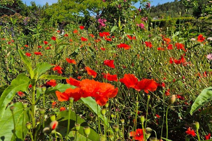 Excursion d'une journée à Giverny et Versailles au départ de Paris avec un guide professionnel