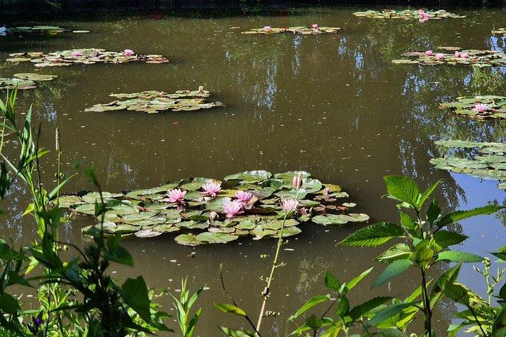 Excursion d'une journée à Giverny et Versailles au départ de Paris avec un guide professionnel