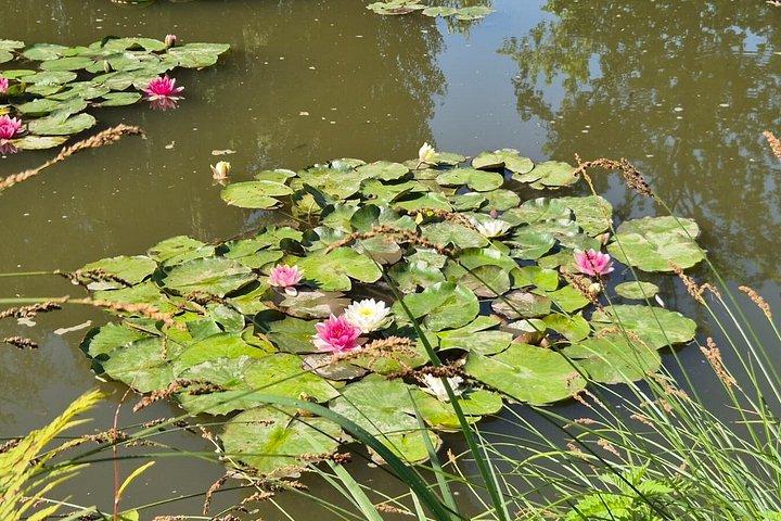 Excursion d'une journée à Giverny et Versailles au départ de Paris avec un guide professionnel