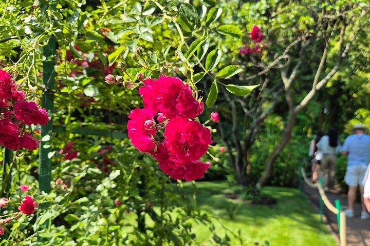 Excursion d'une journée à Giverny et Versailles au départ de Paris avec un guide professionnel