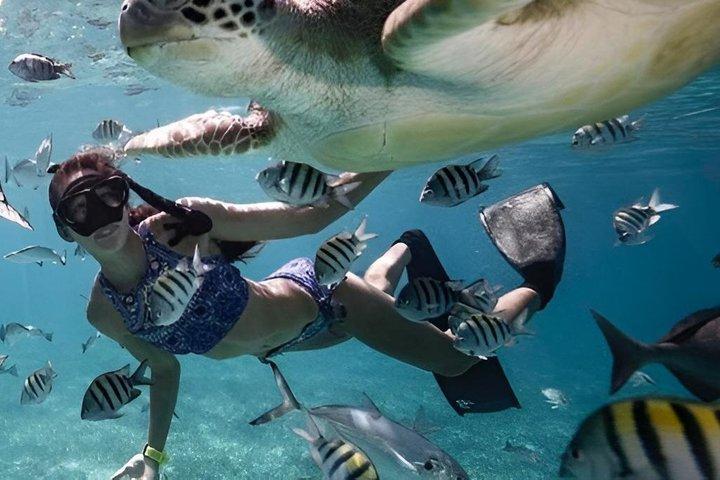 Aventura de buceo en el Mar Rojo desde Hurghada con traslados para el almuerzo