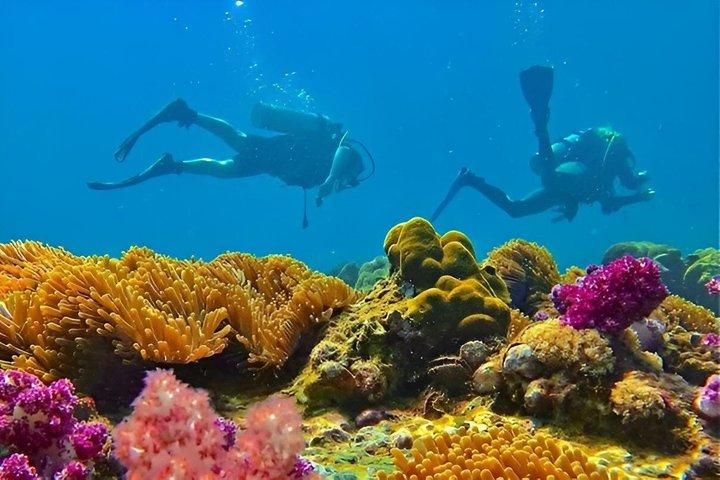 Aventura de buceo en el Mar Rojo desde Hurghada con traslados para el almuerzo
