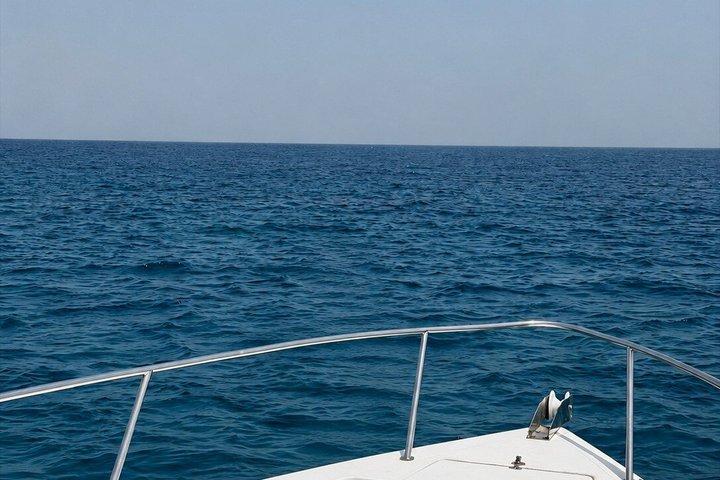 Red Sea Private Boat Trip