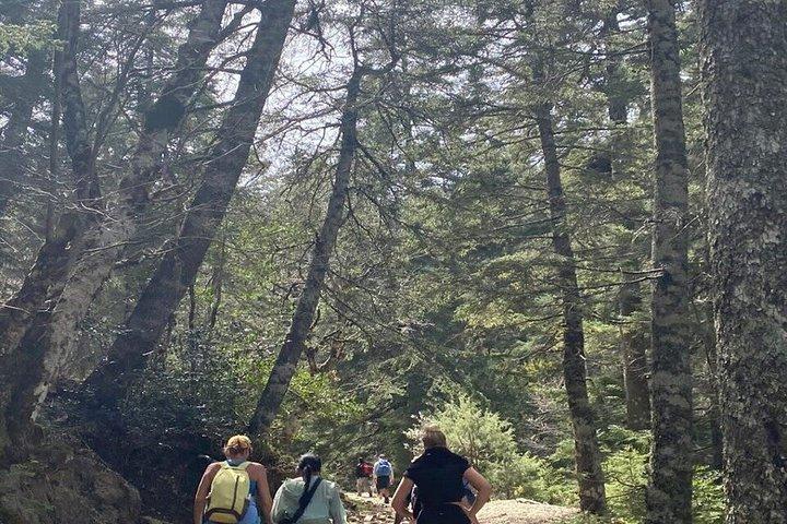 Bread Making and Forest Walk at Rural Tangier