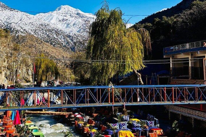 Marrakech : Valle dell'Ourika, montagne dell'Atlante, cascate e pranzo