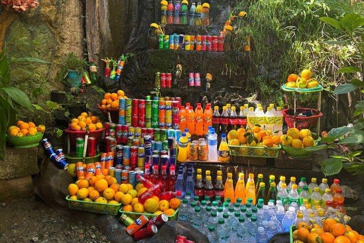 Marrakech : Valle dell'Ourika, montagne dell'Atlante, cascate e pranzo
