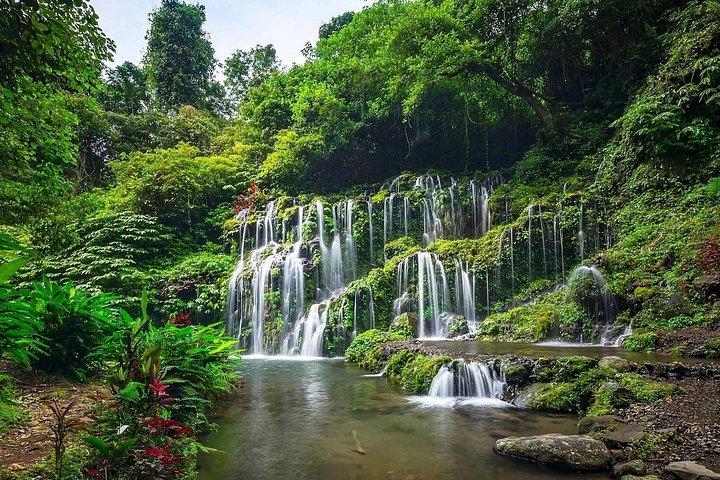 Hidden North Waterfall Bali All inclusive