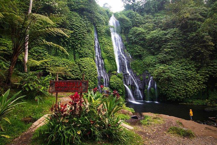 Hidden North Waterfall Bali All inclusive