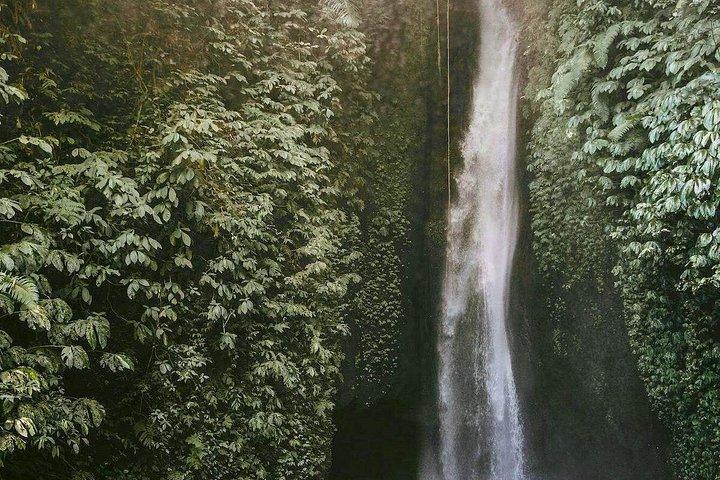 Hidden North Waterfall Bali All inclusive
